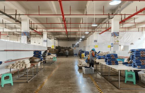 綏陽苗族藥枕借力互聯(lián)網(wǎng)，線上銷售火爆